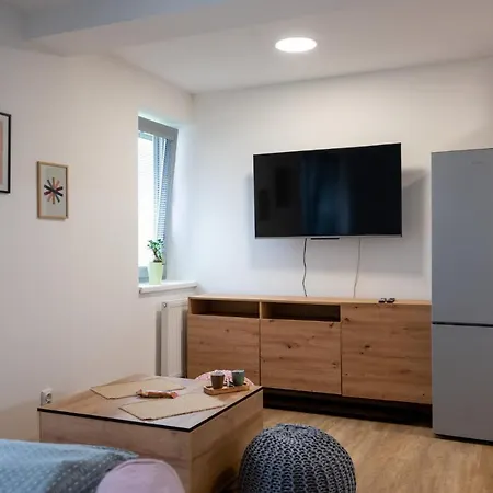 Samoobsluzne Apartmany Evicenstvo Trinec Exterior photo
